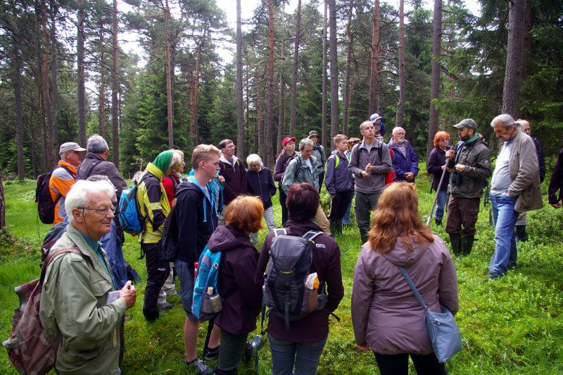 CSOP und BN im Kaiserwald: Sibirische Schwertlilie