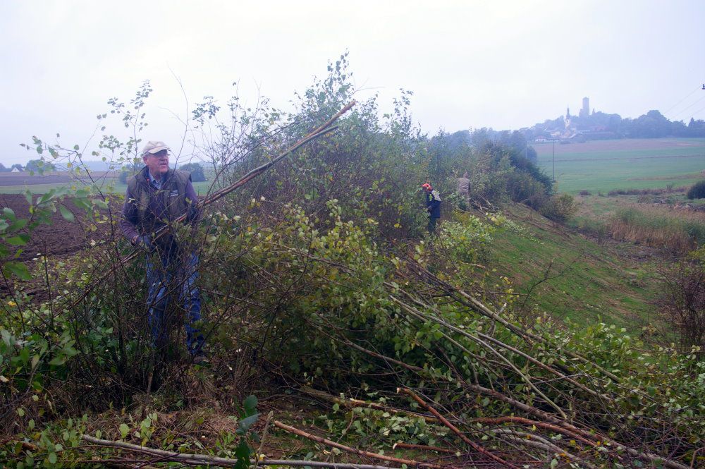 Landschaftsschutzmaßnahmen der BN-Kreisgruppe Wunsiedel