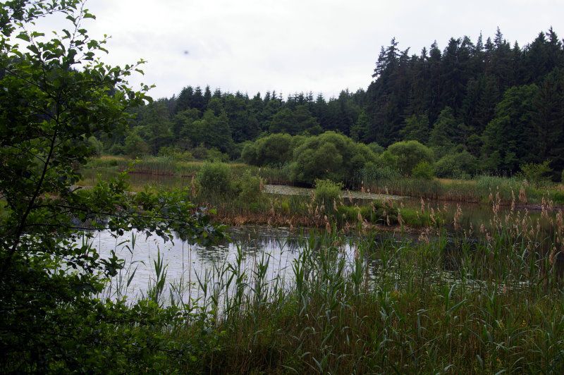 BN und CSOP: Biotope im Landkreis Wunsiedel