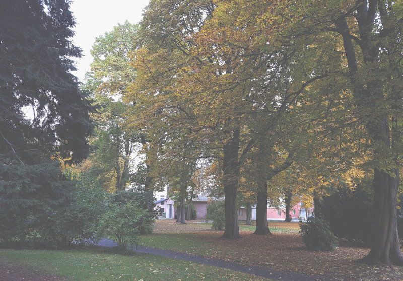 Grünflächen in Marktredwitz