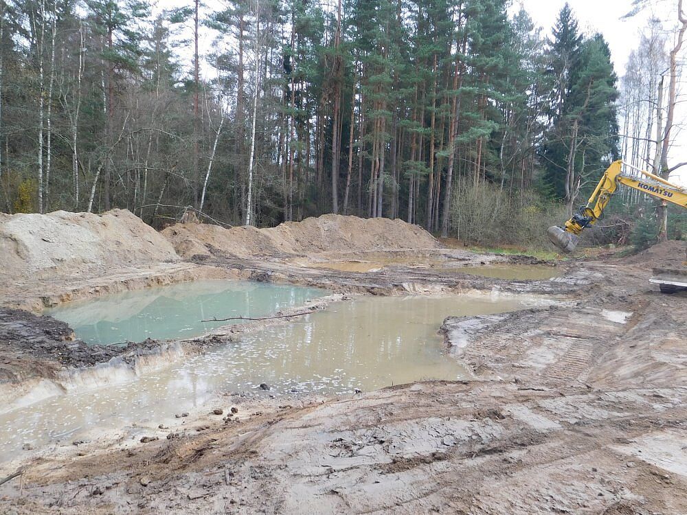 Breiter Teich bei Selb Breiter Teich Selb Grünes Band Fichtelgebirge