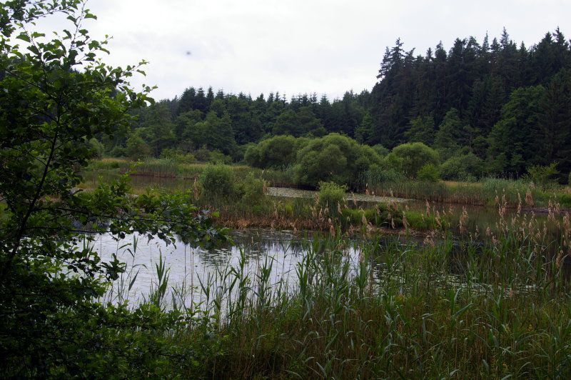 BN und CSOP: Biotope im Landkreis Wunsiedel BN und CSOP: Biotope im Landkreis Wunsiedel