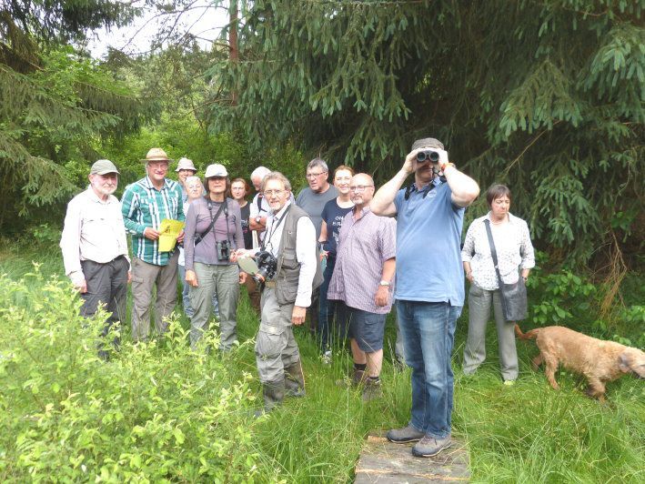 Waldmoor Großwendern - Biotope BN Wunsiedel Waldmoor Großwendern - Biotope BN Wunsiedel