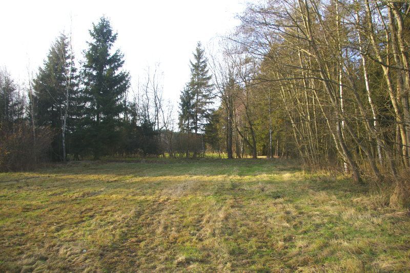 Mega-Gewerbegebiet Thiersheim - Bernstein