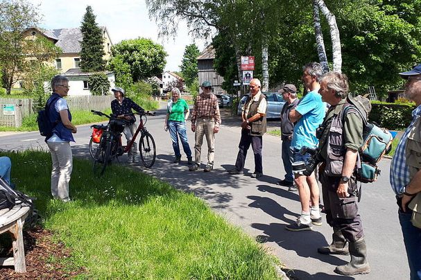 Niedermoor auf Kalksilikat im Fichtelgebirge