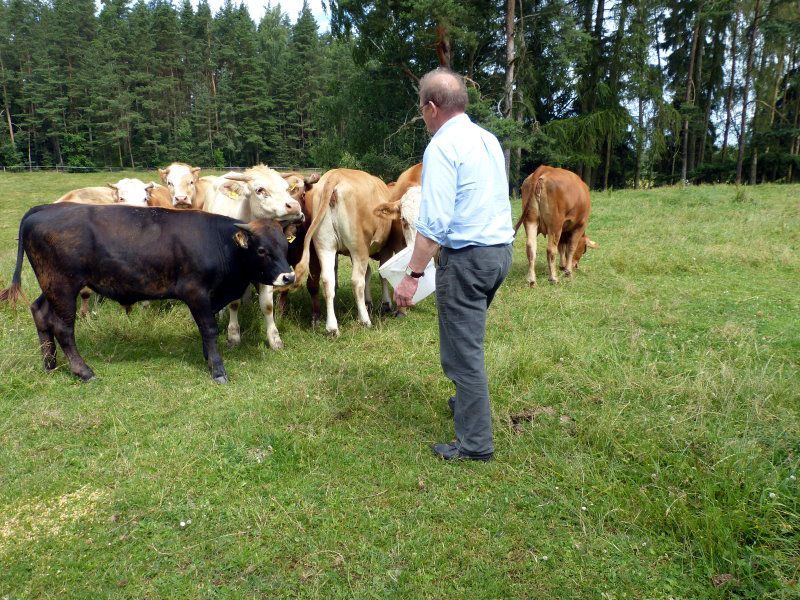 Demetererzeugnisse Familie Purucker Braunersgrün