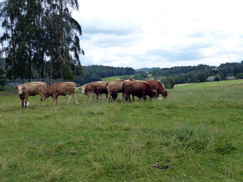 Demetererzeugnisse Familie Purucker Braunersgrün