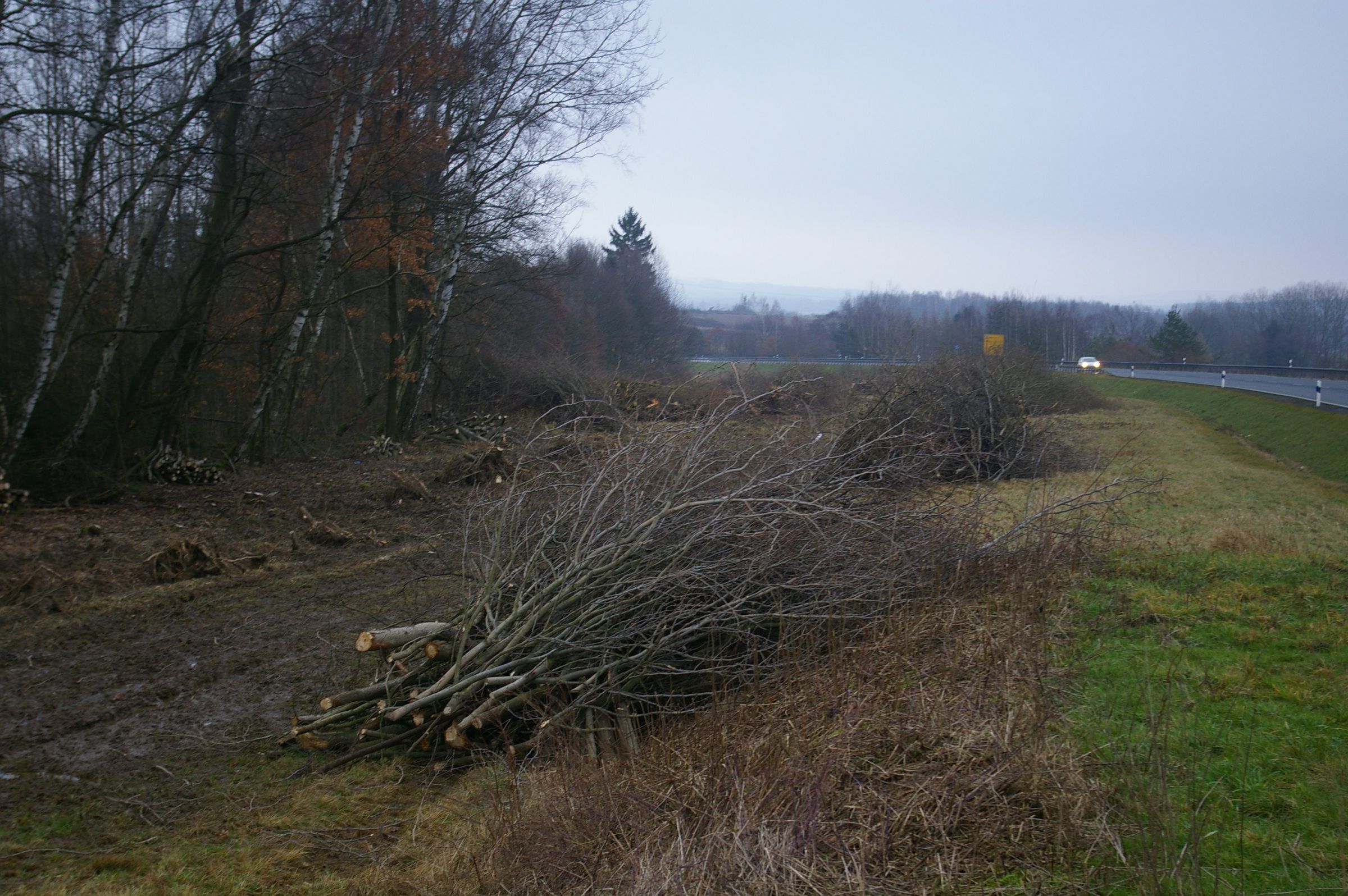 Ausbau der B 303 bei Hohenberg-Schirnding