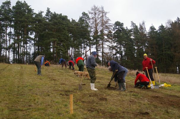 Naturschutzarbeit im Bund Naturschutz