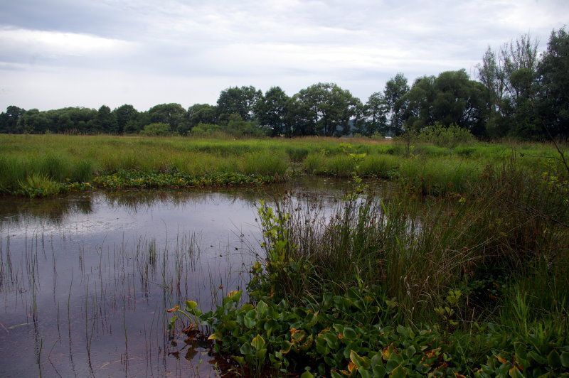 BN und CSOP: Biotope im Landkreis Wunsiedel BN und CSOP: Biotope im Landkreis Wunsiedel