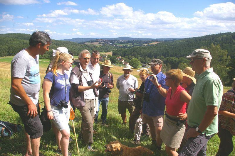 Exkursion Sonnenhänge Sommerhau Insektenvielfalt und seltene Pflanzen an den Sonnenhängen in Sommerhau