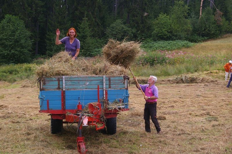 ..und Geschicklichkeit