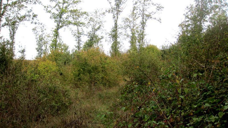 Klausur der BN-Kreisgruppe Wunsiedel