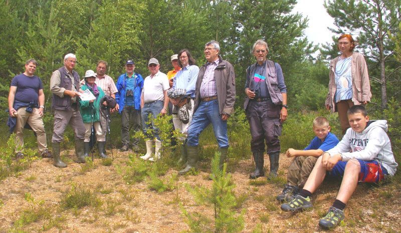 Tongrube Seedorf Raritäten der Botanik und der Insektenwelt