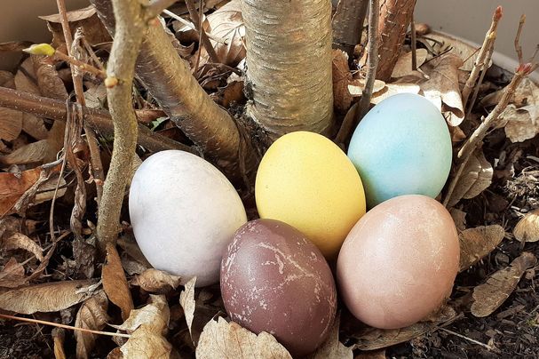 Ein buntes Osternest