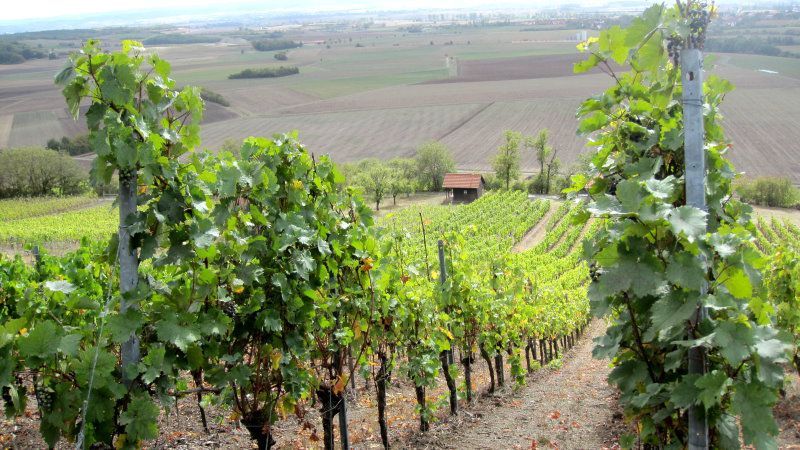 Klausur der BN-Kreisgruppe Wunsiedel