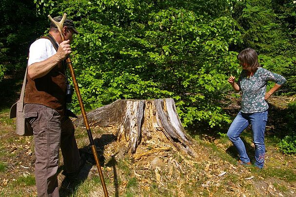 Traditionelle Waldbegehung der BN-Kreisgruppe Wunsiedel 