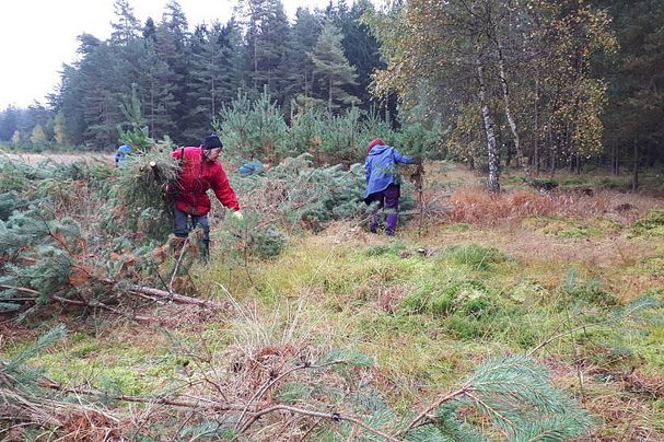 Breiter Teich bei Selb in Händen der BN-Kreisgruppe Wunsiedel