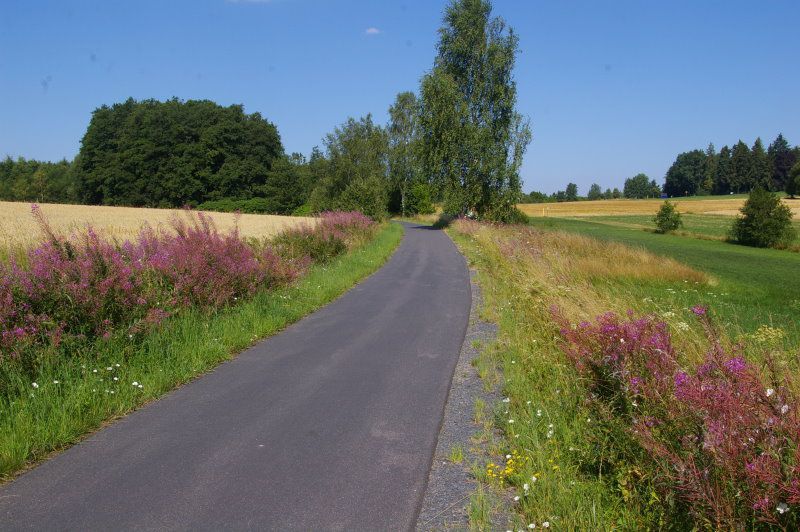Brückenradweg: Blühstreifen