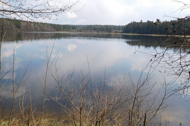 Moorteich "Breiter Teich" bei Selb im Fichtelgebirge