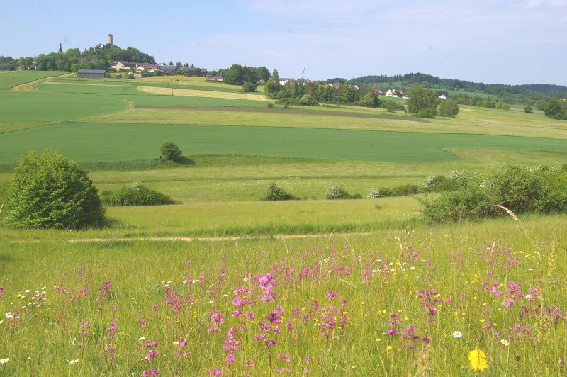 Dangesbachtal Dangesbachprojekt der BN-Kreisgruppe Wunsiedel