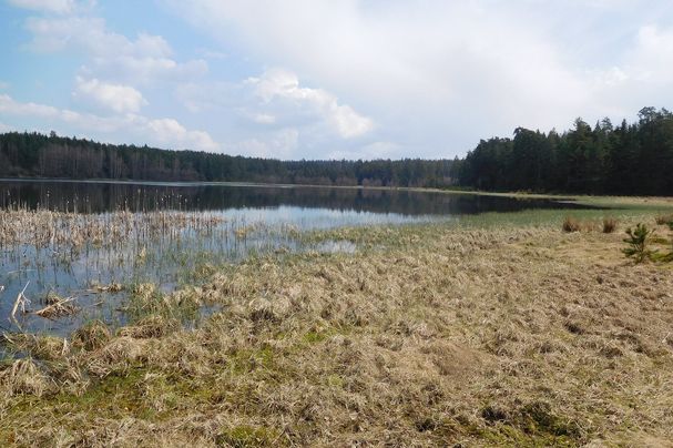 Breiter Teich, Natur-Juwel im Grünen Band Bayern-Tschechien