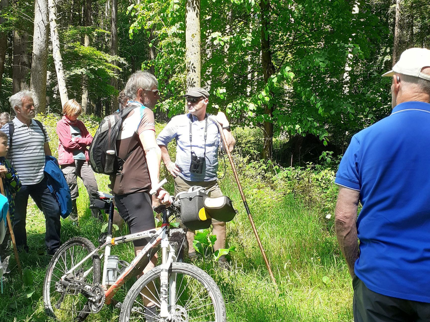 Die Exkursionsgesellschaft im Wald