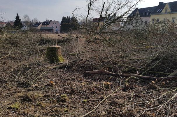 Kahlschlag für den zukünftigen Parkplatz des Outlet Centers Selb