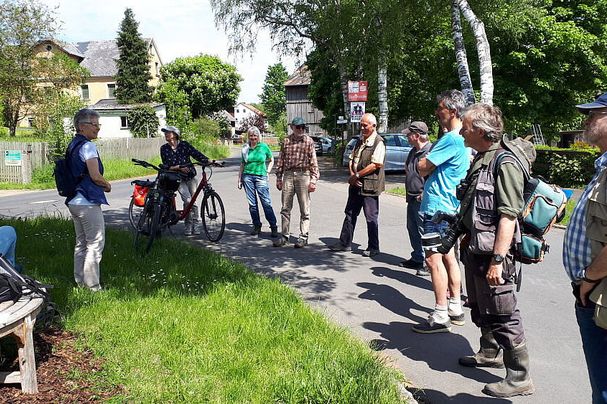 Niedermoor auf Kalksilikat im Fichtelgebirge