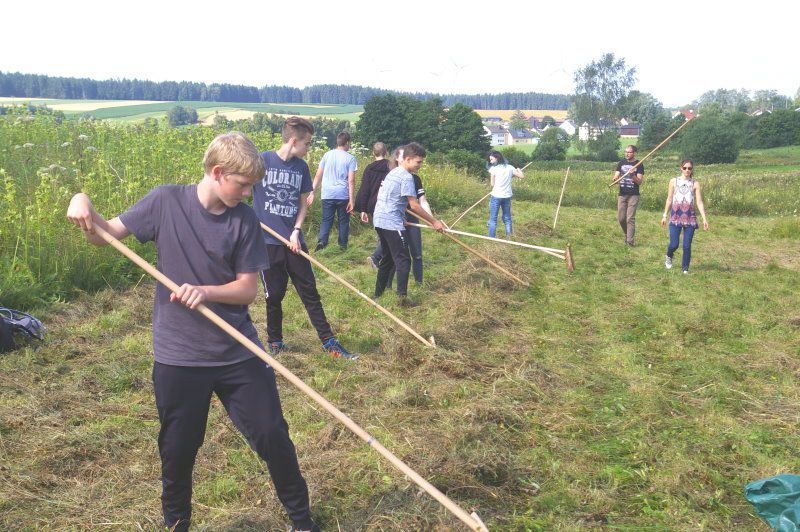 WGG-Wiesenpflege für den BN