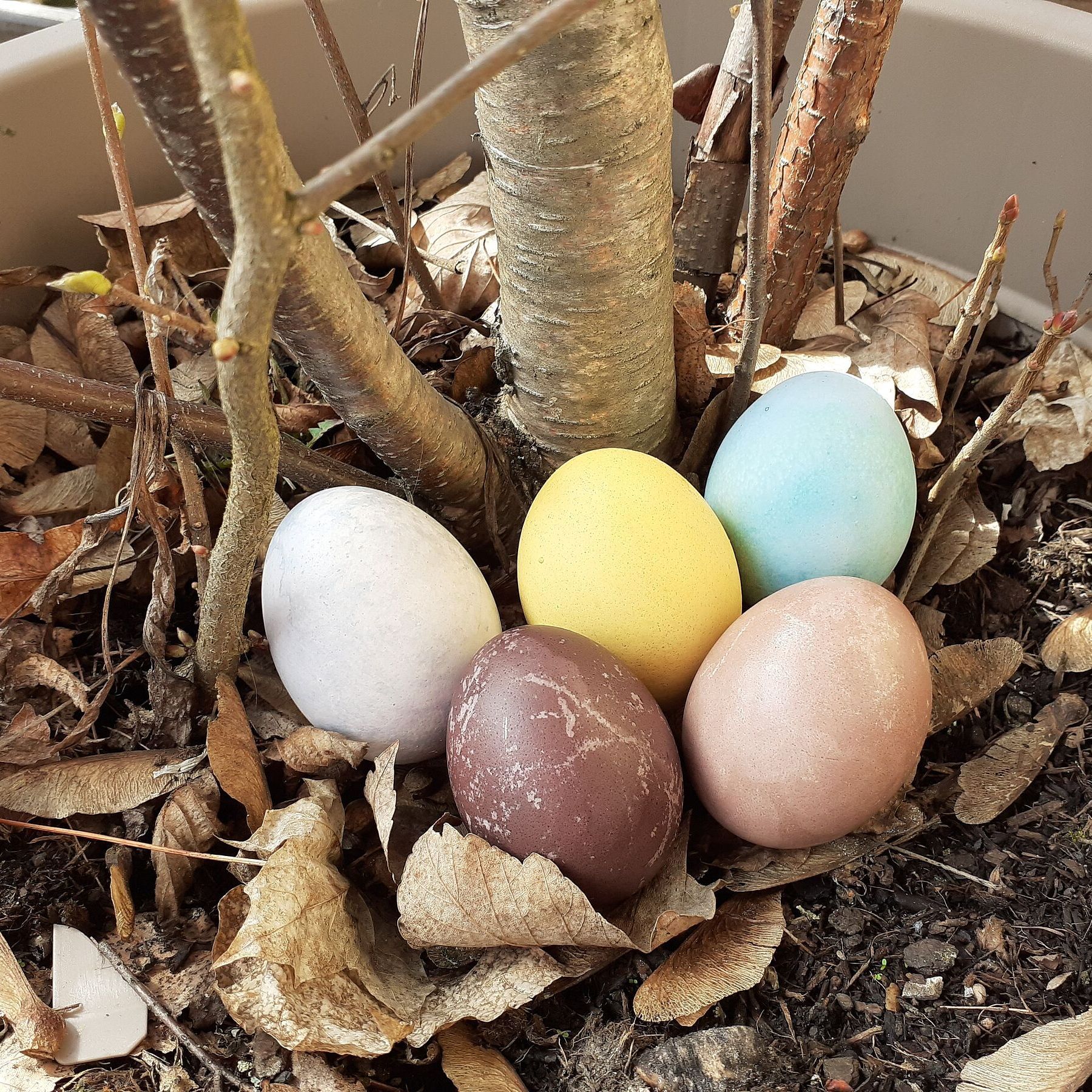 Ein buntes Osternest