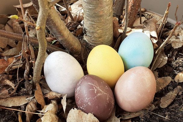 Ein buntes Osternest