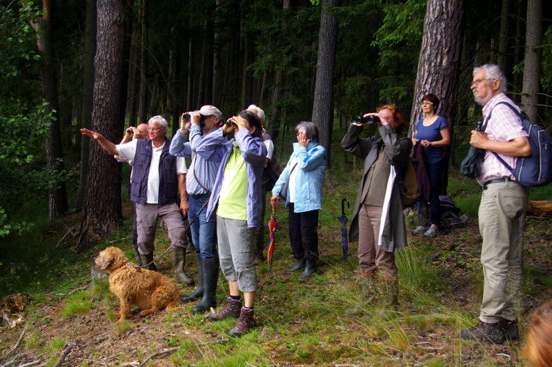 BN und CSOP: Biotope im Landkreis Wunsiedel BN und CSOP: Biotope im Landkreis Wunsiedel