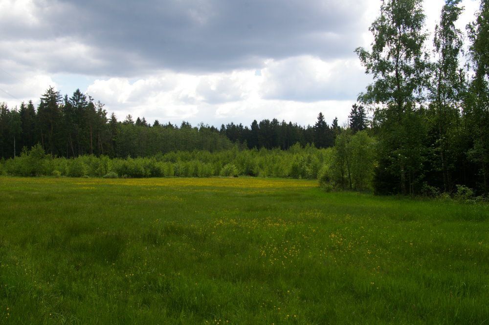 Industriegebiet Plärrer Thiersheim