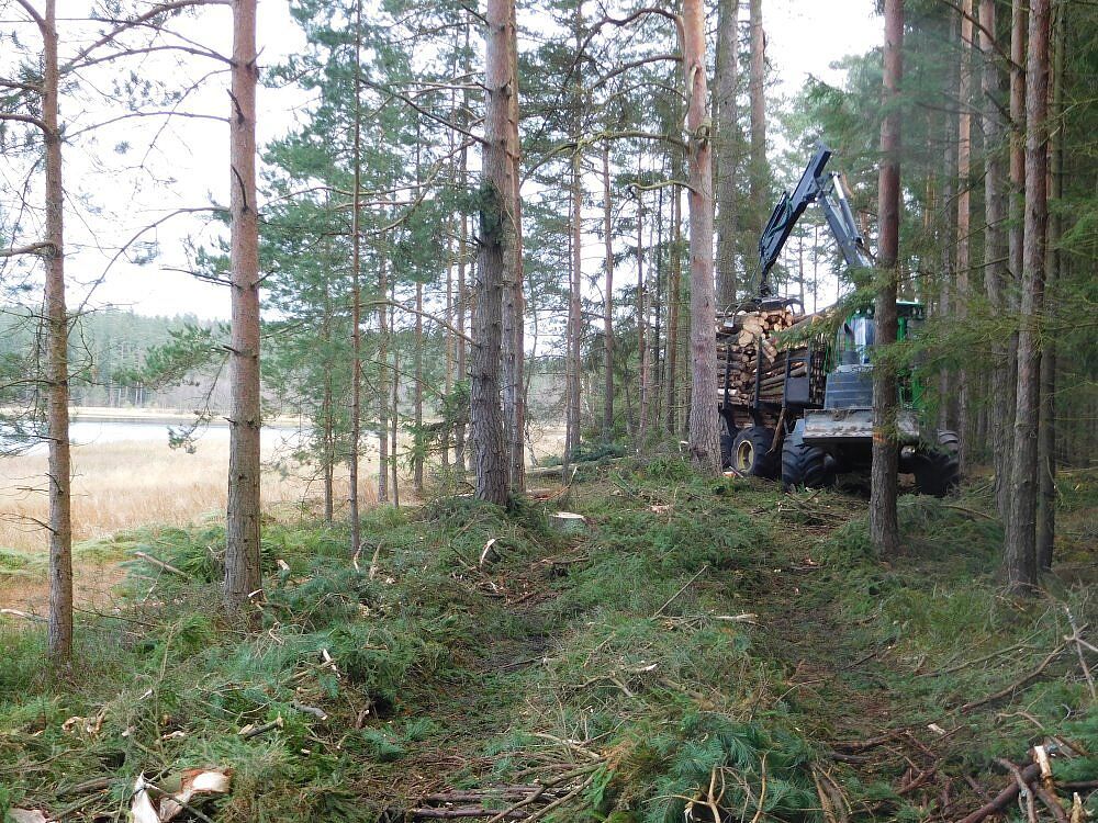 Breiter Teich bei Selb Breiter Teich Selb Grünes Band Fichtelgebirge