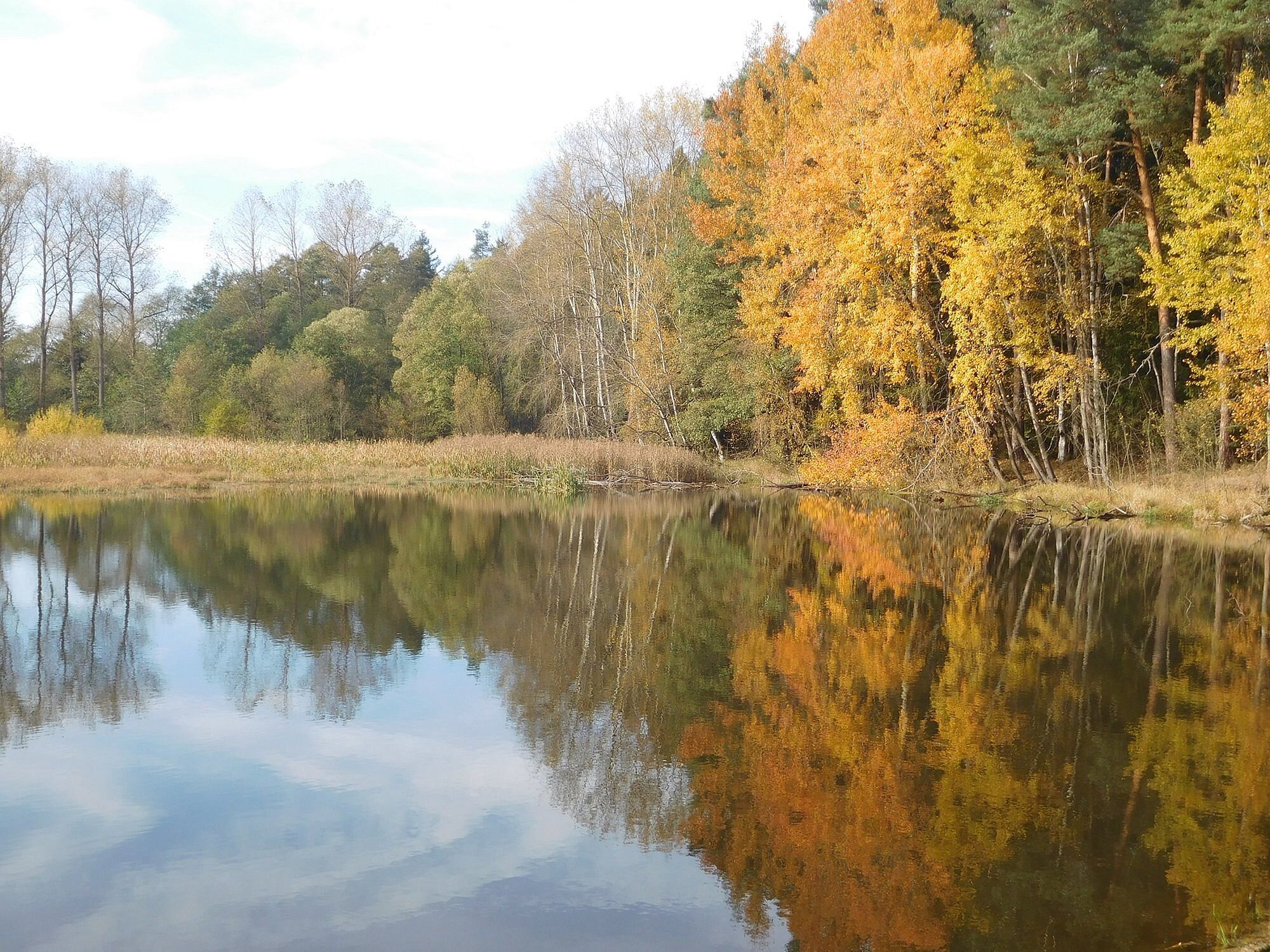 Krebsteich Krebsteich in der Gemarkung Höchstädt im Fichtelgebirge