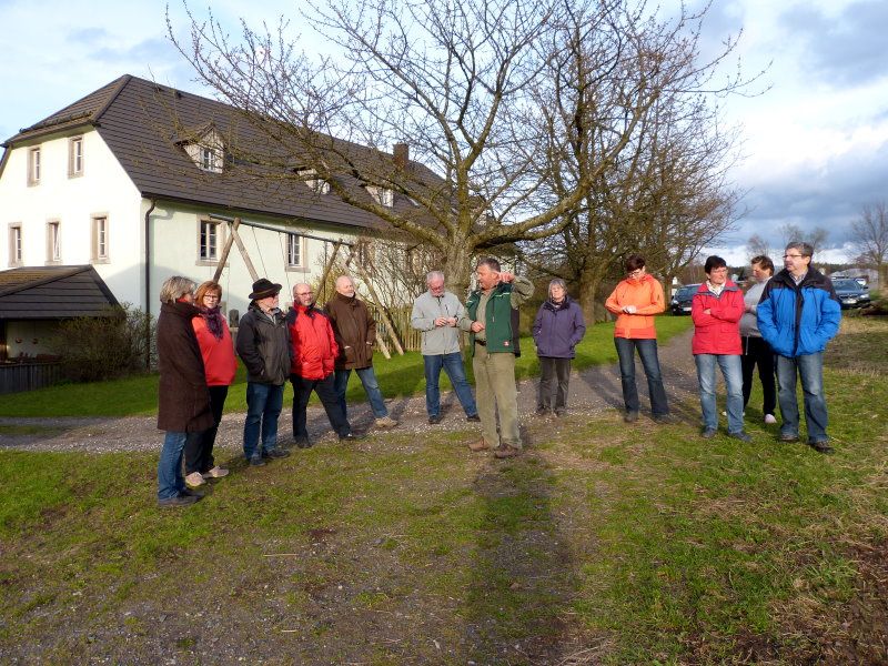 Bisonherde in Sichersreuth Bisonherde in Sichersreuth