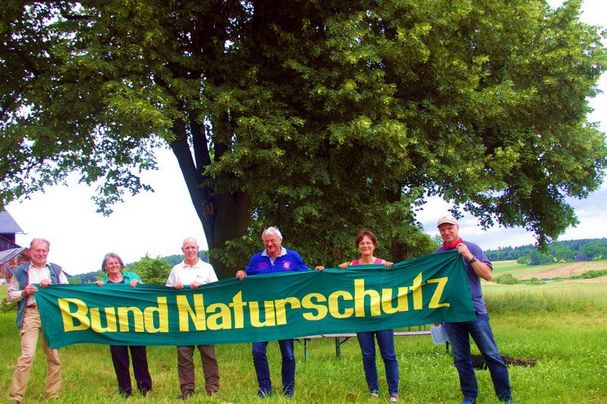 Linde, Symbolbaum des Bund Naturschutz