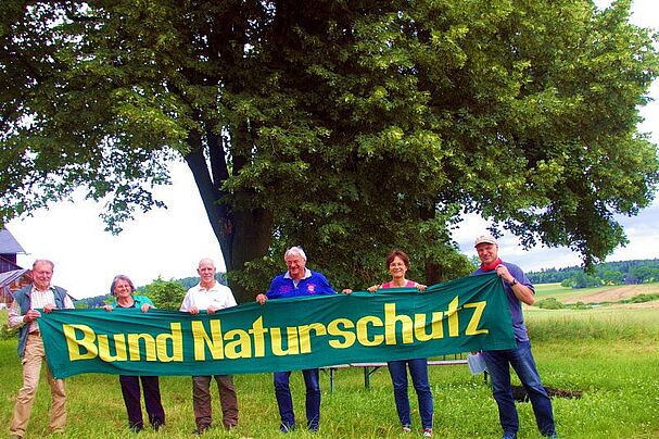 Linde, Symbolbaum des Bund Naturschutz