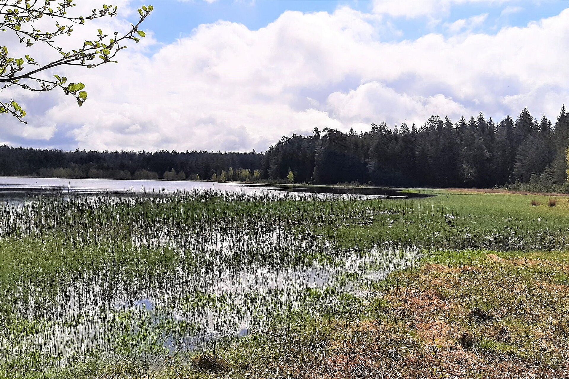 "Herzstücke des Naturschutzes" Der Breite Teich bei Selb BUND