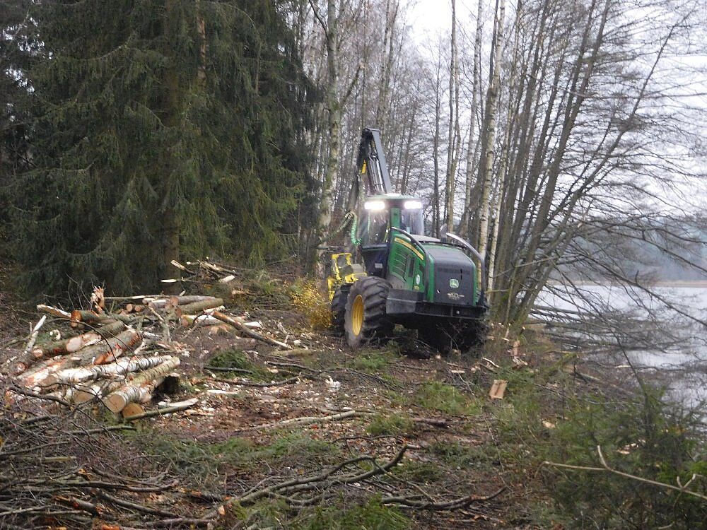 Breiter Teich bei Selb Breiter Teich Selb Grünes Band Fichtelgebirge