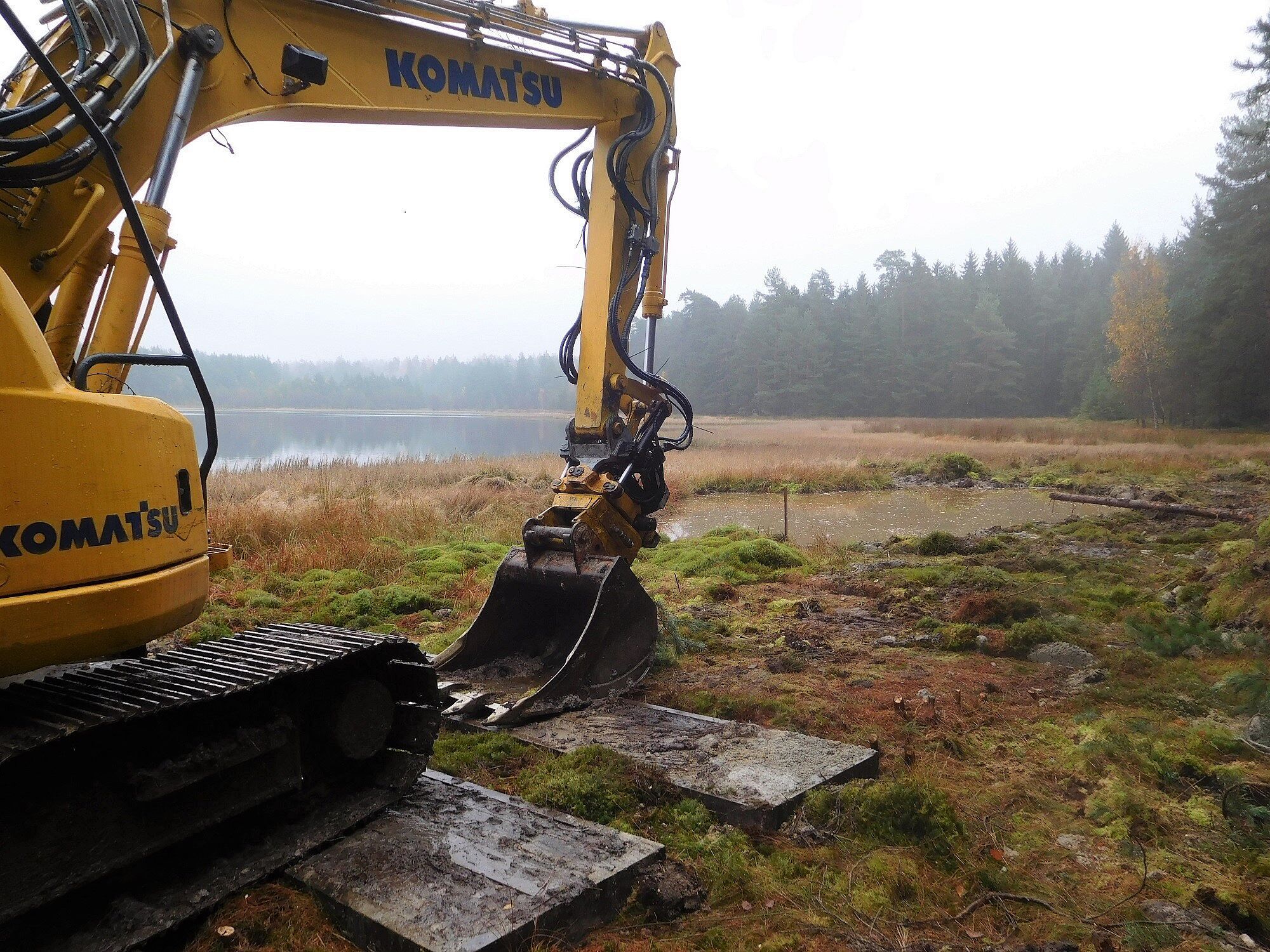 Breiter Teich bei Selb Breiter Teich Selb Grünes Band Fichtelgebirge
