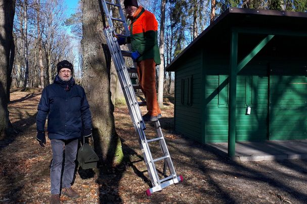 Nistkästen Goldberg Wiesenfestplatz Selb Fichtelgebirge