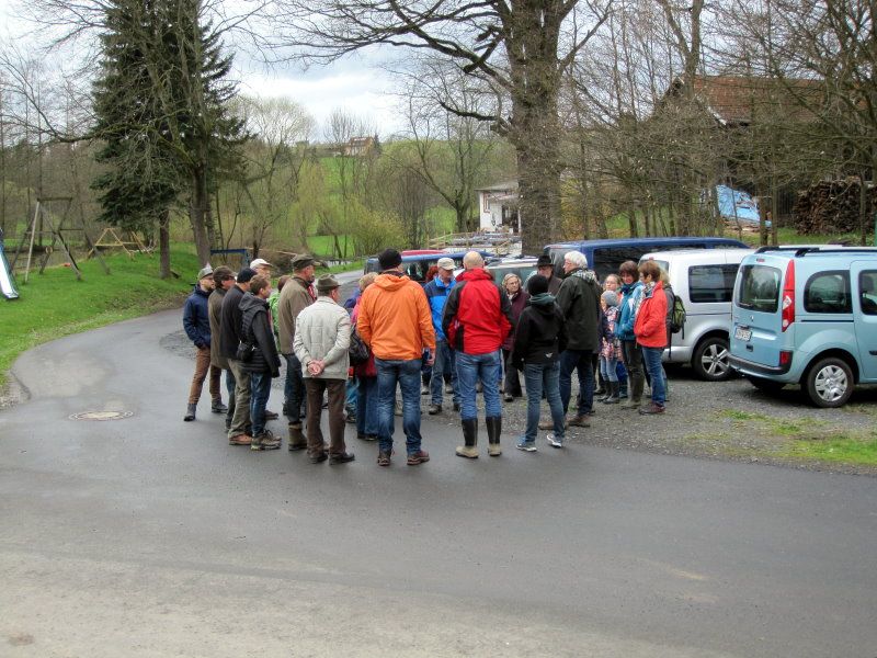 Biber in der Röslauaue Biber in der Röslauaue