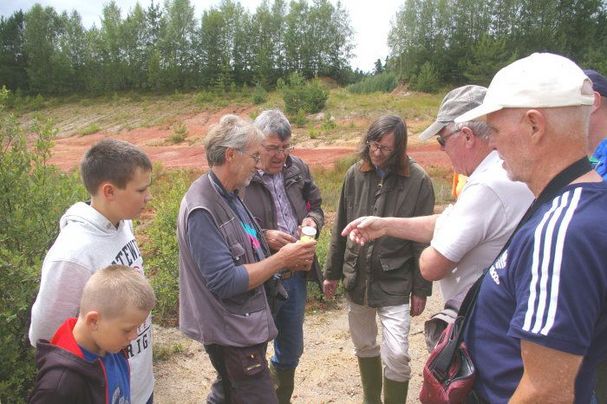 Tongrube Seedorf Raritäten der Botanik und der Insektenwelt