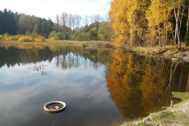 Krebsteich Gemarkung Höchstädt Fichtelgebirge