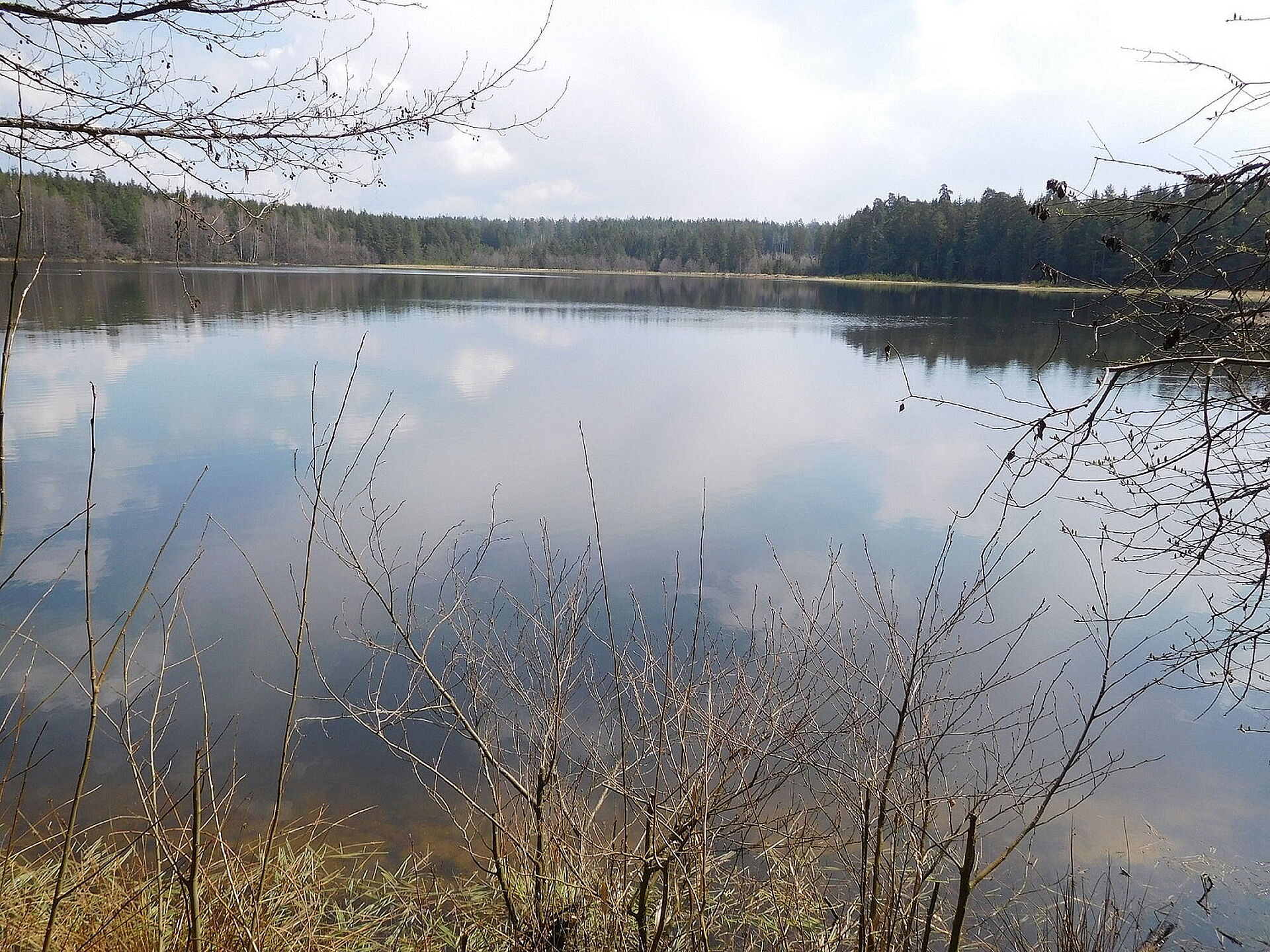 "Herzstücke des Naturschutzes" Der Breite Teich bei Selb BUND