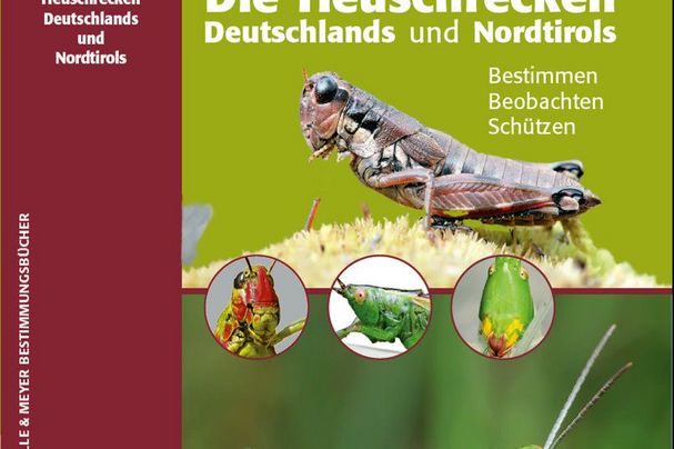 Heuschrecken Deutschlands und Nordtirols von Jürgen Fischer