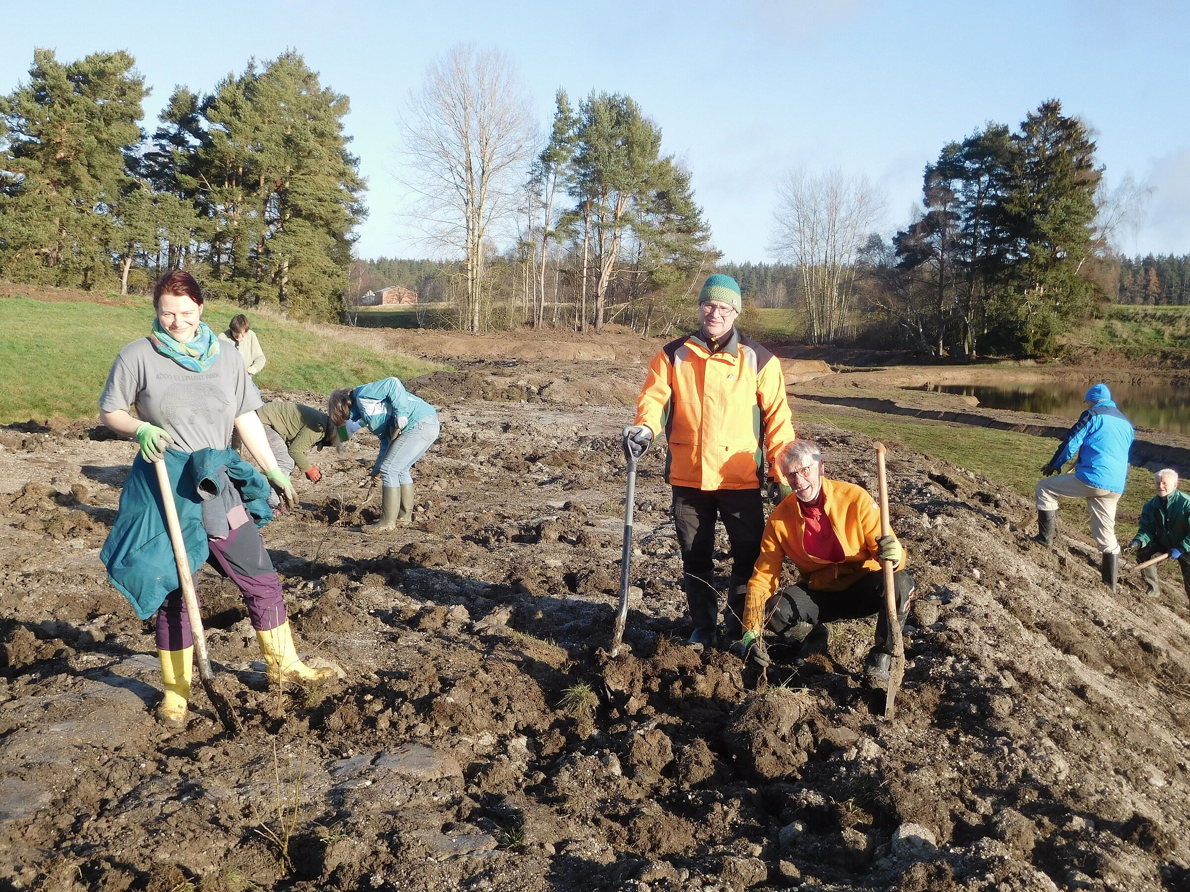 Die Aktiven pflanzen die Heckenbüsche ein.