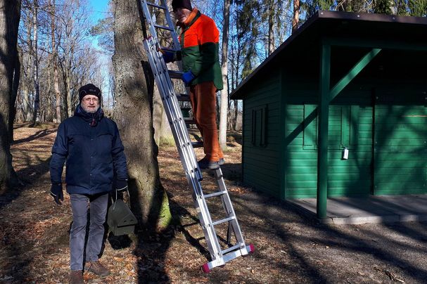 Nistkästen Goldberg Wiesenfestplatz Selb Fichtelgebirge